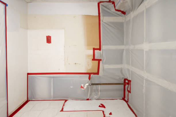 Best Mold Prevention Services  in Decatur, AL