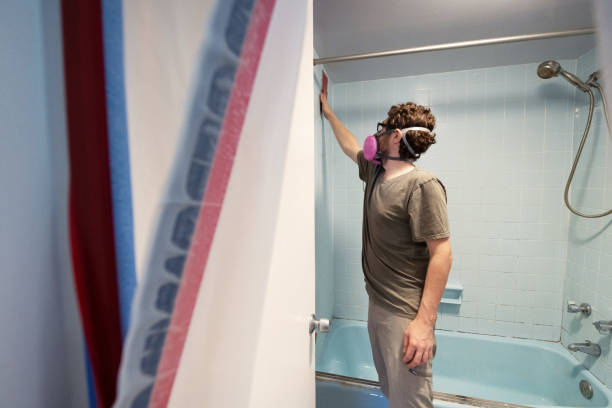 Best Mold Removal for HVAC Installations  in Decatur, AL