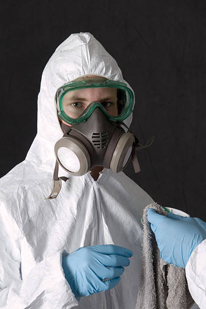 Best Crawl Space Mold Remediation  in Decatur, AL